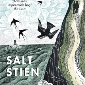 Saltstien