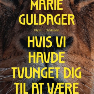 Hvis vi havde tvunget dig til at være social