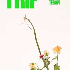 Trip