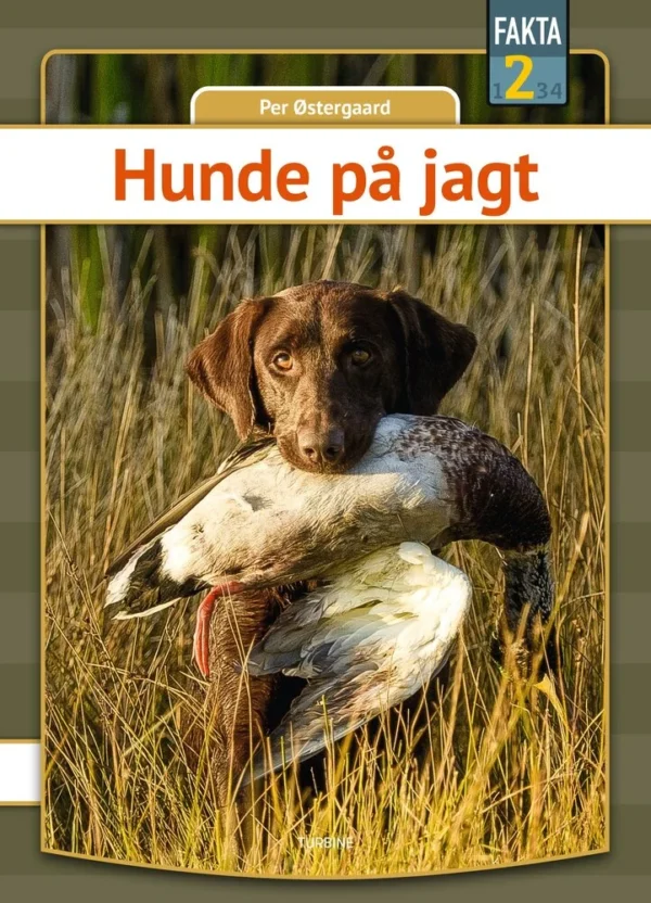 Hunde på jagt