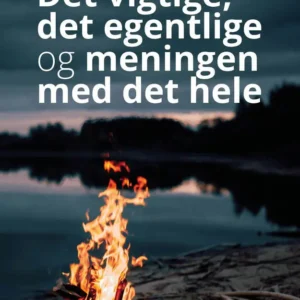 Det vigtige, det egentlige og meningen med det hele