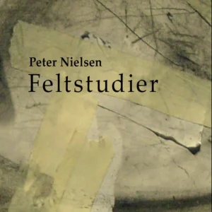 Feltstudier