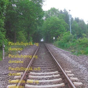 Parallellspråk og domene