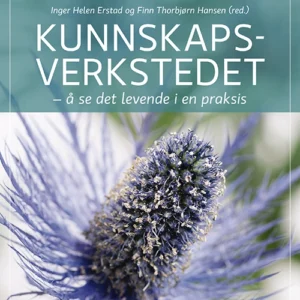 Kunnskapsverkstedet : å se det levende i en praksis