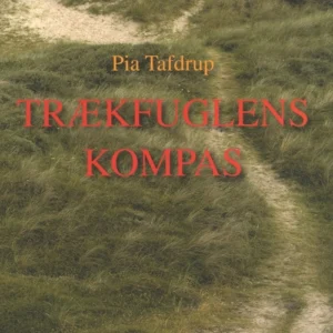Trækfuglens kompas