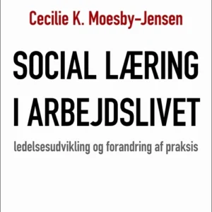Social læring i arbejdslivet