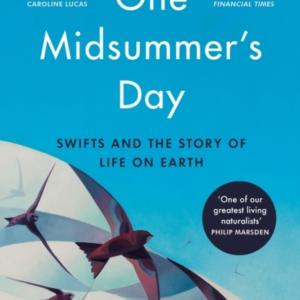 One Midsummer'S Day Swifts And The Story Of Life On Earth