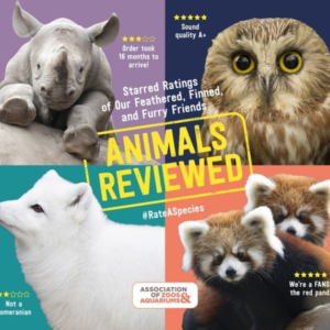 Animals Reviewed Starred Ratings Of Our Feathered, Finned, And Furry Friends