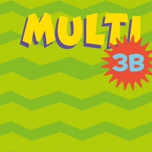 MULTI 3B