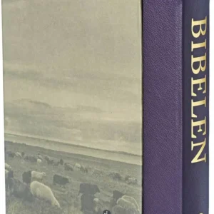 Bibelen med Det Gamle Testamentes apokryfe bøger - stort format