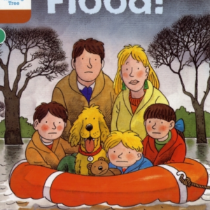 Oxford Reading Tree: Level 8: More Stories: Flood