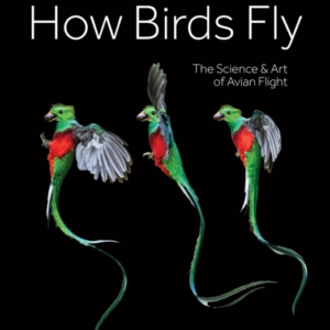How Birds Fly The Science And Art Of Avian Flight