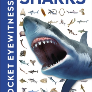 Pocket Eyewitness Sharks Facts At Your Fingertips