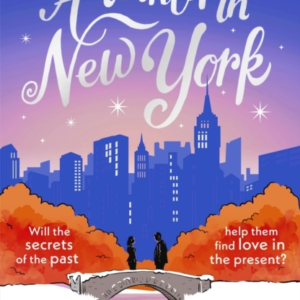 A Winter In New York The Delicious New Wintery Romance From