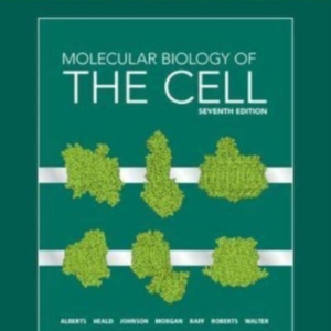 Molecular Biology Of The Cell