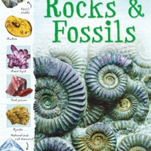 Rocks And Fossils