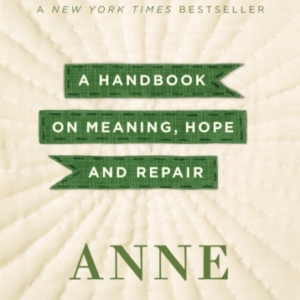 Stitches A Handbook On Meaning, Hope, And Repair