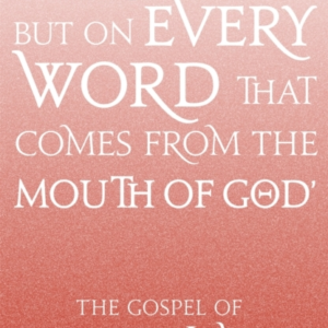 Niv Gospel Of Matthew