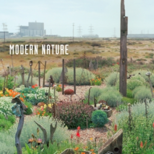 Modern Naturejournals 1989  1990