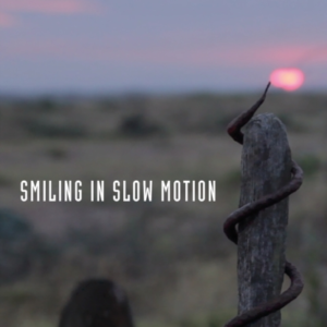 Smiling In Slow Motionjournals 19911994