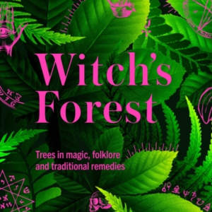 Kew - Witch's Foresttrees In Magic Folklore And Traditional