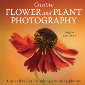 Creative Flower And Plant Photography Tips And Tricks For Ta
