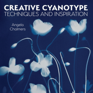 Creative Cyanotype Techniques And Inspiration