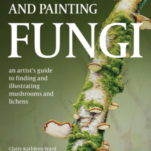 Drawing And Painting Fungi An Artists Guide To Finding And I