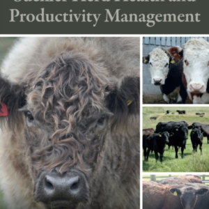 Suckler Herd Health And Productivity Management