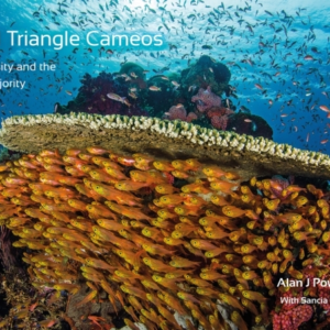 Coral Triangle Cameosbiodiversity And The Small Majority