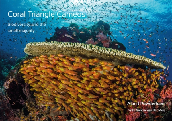 Coral Triangle Cameosbiodiversity And The Small Majority