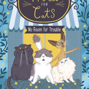Hotel For Cats No Room For Trouble