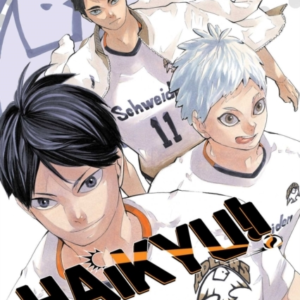 Haikyu!! Vol. 43