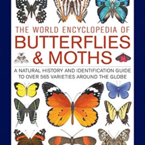 Butterflies & Moths, The World Encyclopedia Of A Natural His