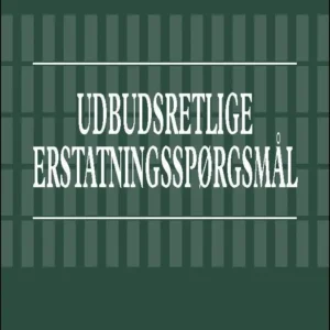 Udbudsretlige erstatningsspørgsmål