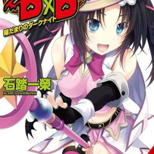 High School DxD, Vol. 15 (light novel)