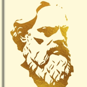 The Dialogues Of Socrates