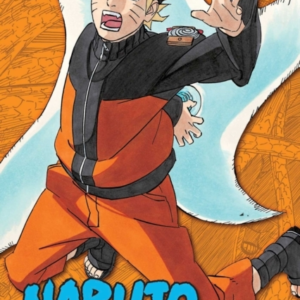 Naruto 3-In-1 Edition, Vol. 19