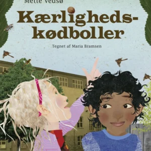 Kærligheds-kødboller