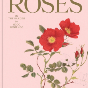 Roses In The Garden