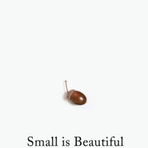 Small Is Beautiful A Study Of Economics As If People Mattere