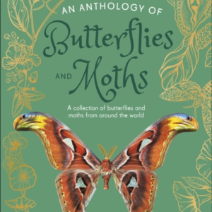 An Anthology Of Butterflies And Moths A Collection Of Butter