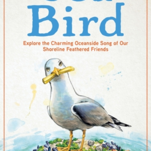 Sea Bird Explore The Charming Oceanside Song Of Our Shorelin