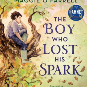 The Boy Who Lost His Spark