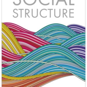 SOCIAL STRUCTURE RELATIONSHIPS, REPRESENTATIONS, AND RULES