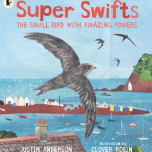 SUPER SWIFTS: THE SMALL BIRD WITH AMAZING POWERS