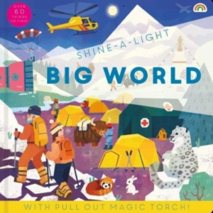 SHINE A LIGHT - BIG WORLD