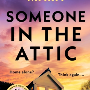 SOMEONE IN THE ATTIC