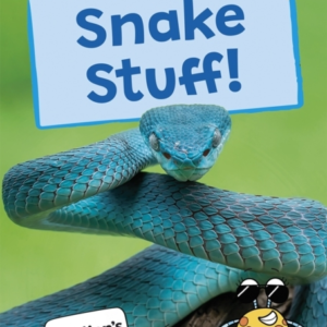 Snake Stuff!(Orange Band)