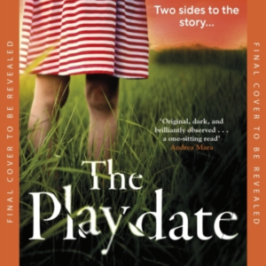 The Playdate A Startling And Deliciously Pitch-Dark Story Fr